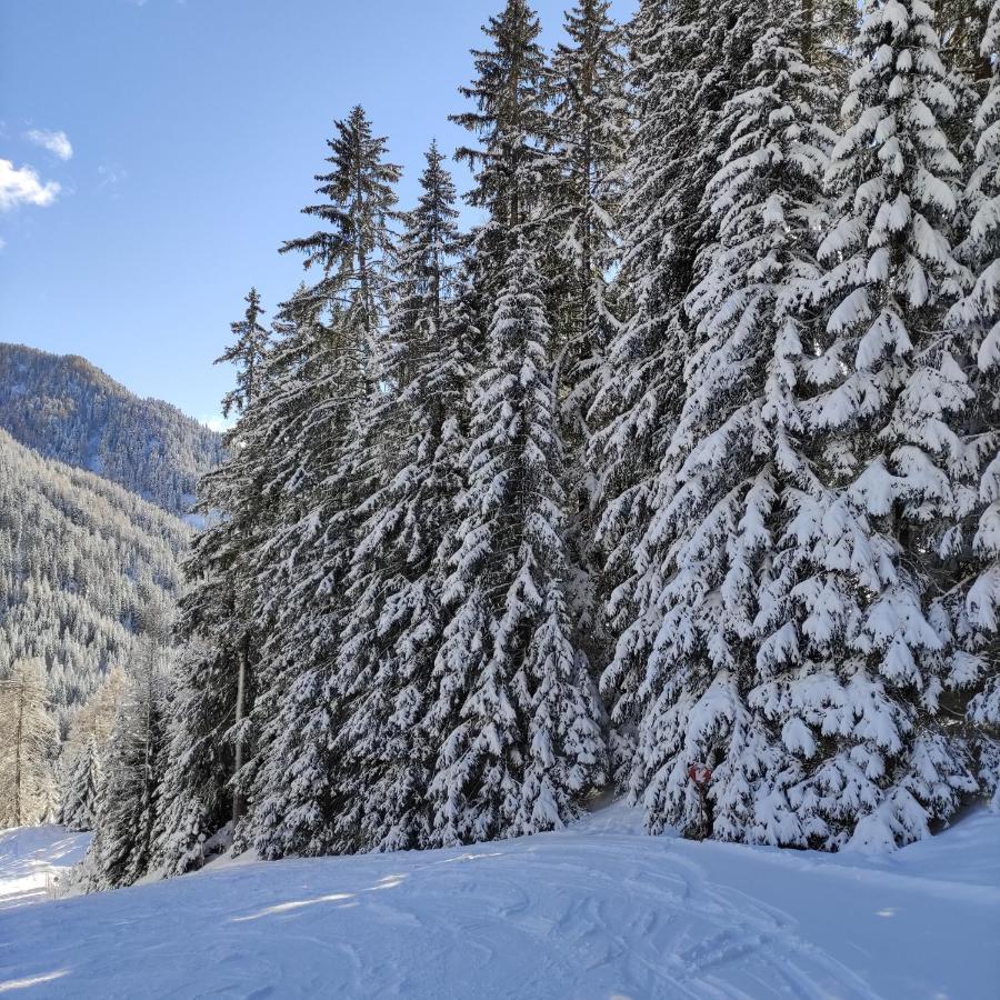 Villa Kofler Wonderland Resort Campitello di Fassa Buitenkant foto